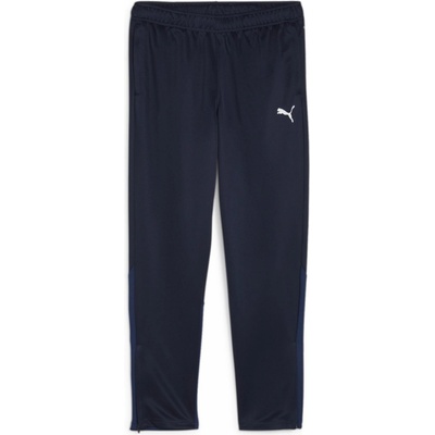 Puma teamGOAL Training Pant Wmn 658642-06
