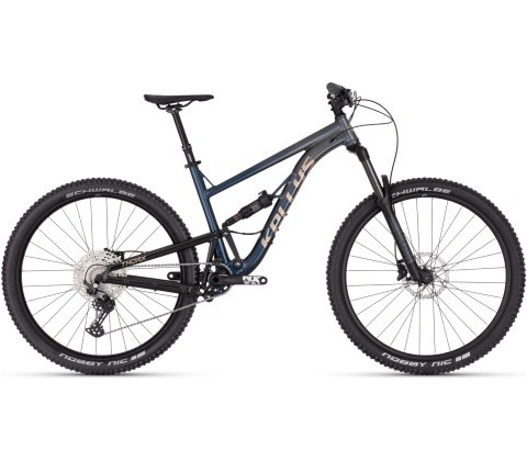 Kellys Thorx 10 2024