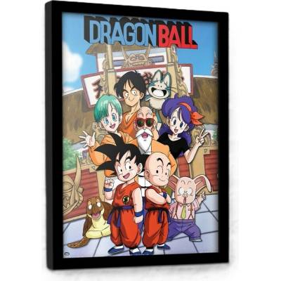 PYRAMID Rámovaný Obraz - Dragon Ball - Budokai, 44.5 x 34.3 cm