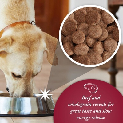 Arkwright Complete Beef 15 kg