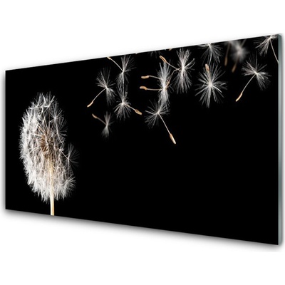 Obraz plexi Púpava kvet kvapky 100x50 cm