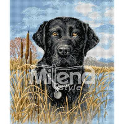 Milena Style Лабрадор - гоблен със схема конци dmc 1: 4