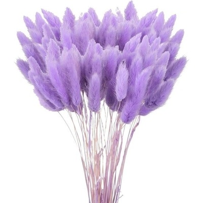 Sušené pampasové trávy 120 ks, lagurus, váza – Zbozi.Blesk.cz