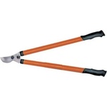 TopGarden 382917