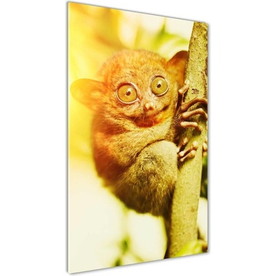 Vertikálny fotoobraz na skle Nártoun celebeské 50x100 cm