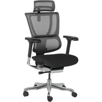 Ergohuman Ергономичен стол ergohuman ioo elite 2 - черна рамка - черен