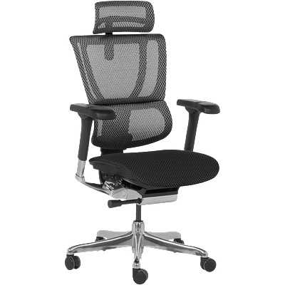 Ergohuman Ергономичен стол ergohuman ioo elite 2 - черна рамка - черен