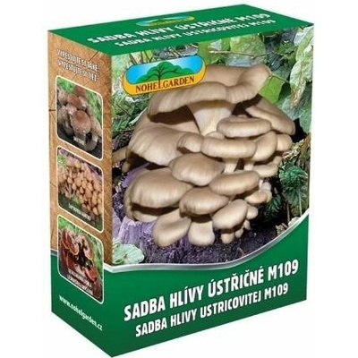 Hliva ustricová 250ml