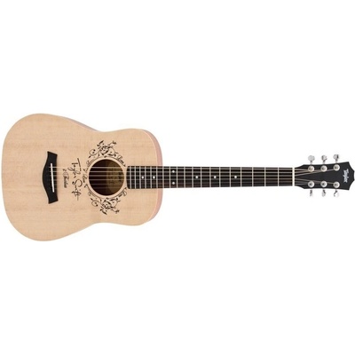 Taylor TS-BT