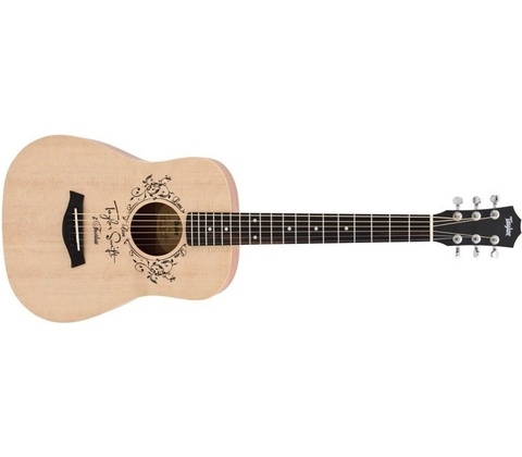 Taylor TS-BT