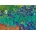 Bluebird Puzzle - Puzzle Vincent Van Gogh - Irises, 1889 - 1 000 piese