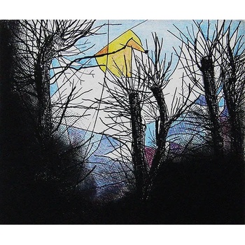 Image 1 of Графика " Дърветата на София"