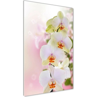 Vertikálny fotoobraz na skle Biela orchidea 50x100 cm