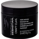 Sebastian Form stylingový prípravok pre všetky typy vlasov (Remoldable - Matte Texturizer) 50 ml