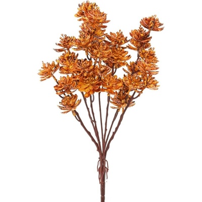 ZÁPICH ZELEŇ SUKULENT ŽLTO-BORDOVÝ 38CM