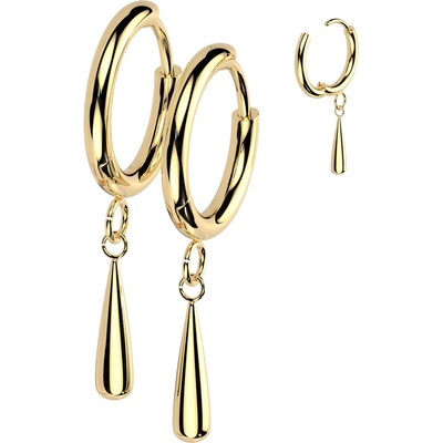 Steel Edge titanové náušnice visací SETRH04 Zlatá