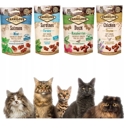 Carnilove Cat Crunchy Snack Duck & Raspberries 50 g – Zboží Mobilmania