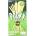 Glico Pocky Wheat Pocky Matcha Green Tea GLICO 33гр