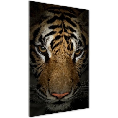 Vertikálny foto obraz fotografie na skle Tiger 50x100 cm