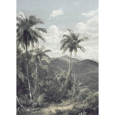 R2-006 Fototapeta vliesová The Exotic Land rozměry 200x280 cm