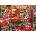 Schmidt Spiele - Puzzle Coca Cola - nostalgia - 1 000 piese