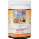 TCM Herbs Radosť prichádzajúceho spánku 100 tabliet