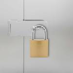 vidaXL U Lock с ключове 12 бр. Месинг Желязо (42021904)