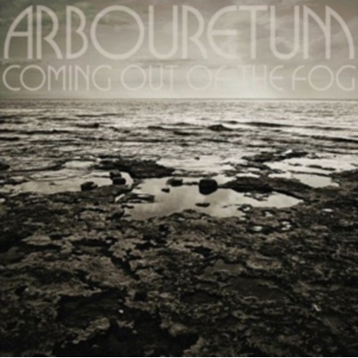 Coming Out of the Fog - Arbouretum