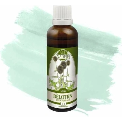 Naděje Ježibaba guľatohľavá tinktúra z bylín T1 50 ml