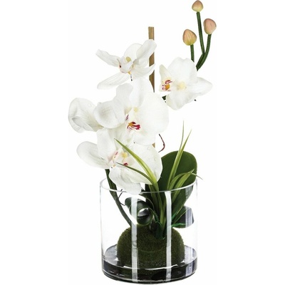 Atmosphera Umělá orchidej v skleněné váze, 37 x 18 cm bílá