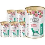 4Vets NATURAL 4Vets за кучета Hepatic 6x400g