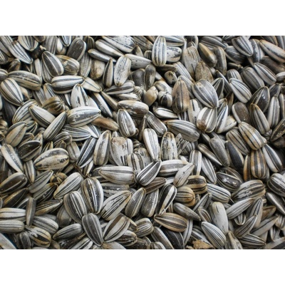 PROFIZOO Slnečnica žíhaná 15 kg