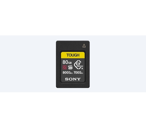Sony 80GB EAG80T.SYM