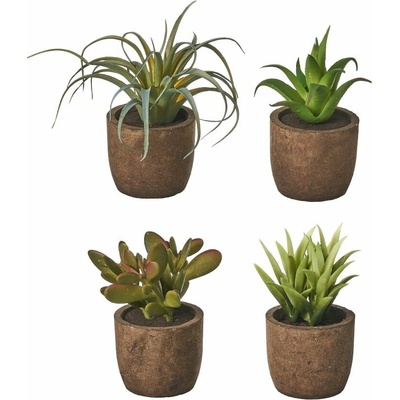 Umelé rastliny v súprave 4 ks (výška 10 cm) Cactus – Casa Selección