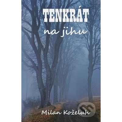 Tenkrát na jihu