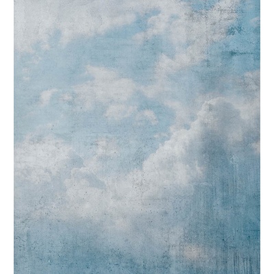 DIMEX MS-3-0373 vliesová fototapeta rozměry 225 x 250 cm