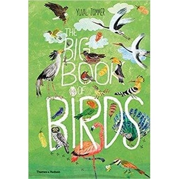 The Big Book of Birds - Yuval Zommer