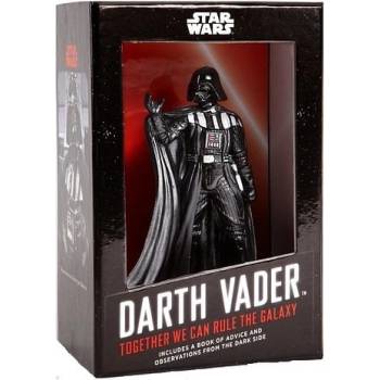Star Wars Darth Vader Box Together We Can Rule the Galaxy