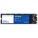 WD Blue SA510 1TB, WDS100T3B0B