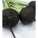 Reďkovka siata guľatá čierna - Raphanus sativus niger - semienka reďkvi - 200 ks