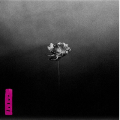 Little Simz Lotus LP