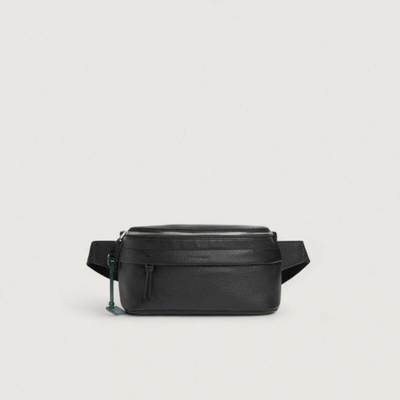 Coccinelle STG SOFT