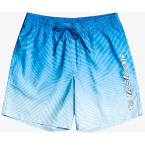 Quiksilver Плувни шорти everyday warped logo volley 17