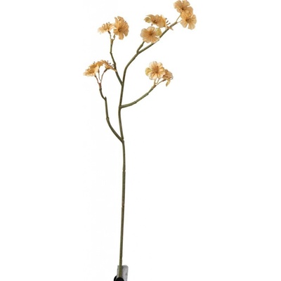 Vetvička s béžovými kvetmi Tweedie - 7 * 10 * 51 cm - J-Line by Jolipa