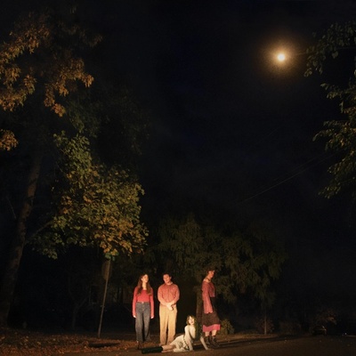 The Ophelias - The Ophelias - Spring Grove LP