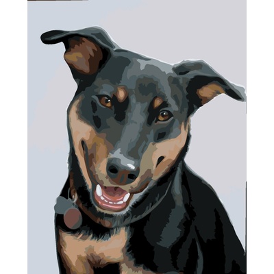 ZUTY Malování podle čísel ROTVAJLER 2 MYROSLAVA VOLOSCHUK Rozměr 80 x 100 cm Rámování bez rámu a bez vypnutí plátna