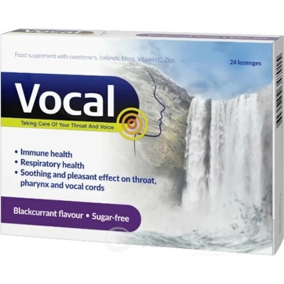 VOCAL pastilky s príchuťou čiernych ríbezlí bez cukru 24 ks