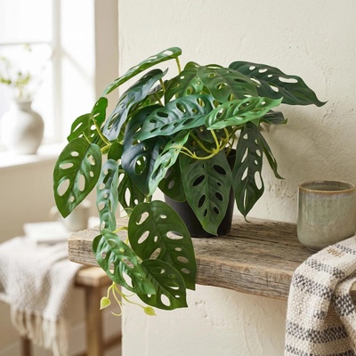 Gasper Gasper Umelá Monstera adansonii