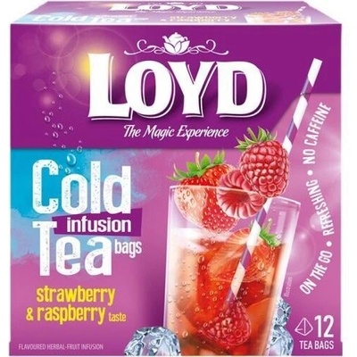 Loyd Tea pyramida cold brew jahoda malina 30 g