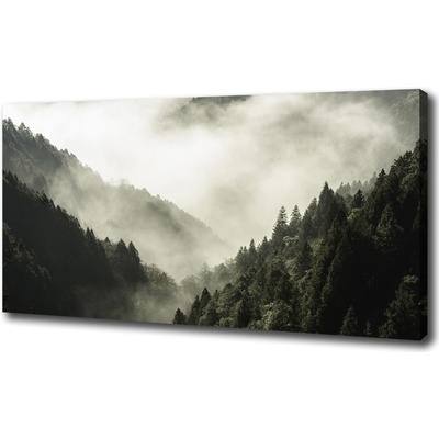 Foto obraz na plátne Hmla nad lesom 100x50 cm